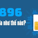 Sim đầu số 0896