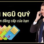 Sim Ngũ Quý là gì