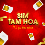 Sim Tam Hoa có ý nghĩa gì