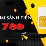 Ý nghĩa sim sảnh tiến 789