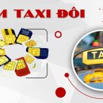 Sim Taxi đôi là gì