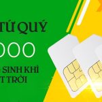 Sim Tứ quý 0000