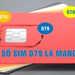 Đầu số 079 là mạng gì