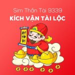 Sim Thần tài 9339