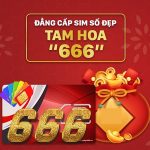 sim Tam hoa 666