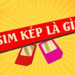 Sim lặp kép là gì