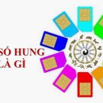 Sim số hung là gì? Gợi ý địa chỉ bán sim số đại cát uy tín, chất lượng