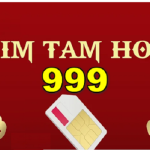 Sim tam hoa 999