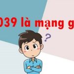 Sim đầu số 039