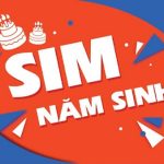 Sim năm sinh là gì