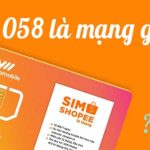 Đầu số 058