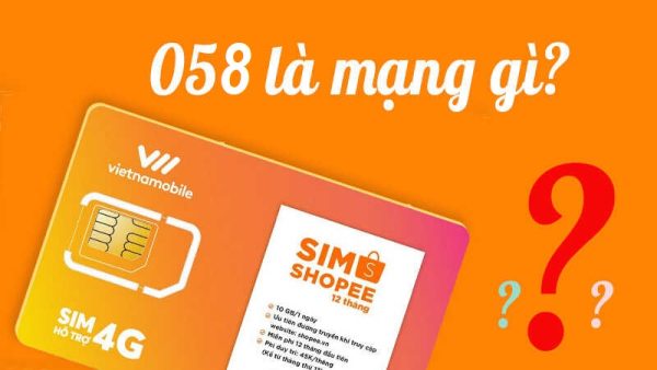 Đầu số 058