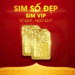 Sim số đẹp VIP Mobifone