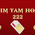 sim tam hoa 222