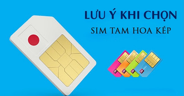 Lưu ý khi chọn sim Tam Hoa Kép