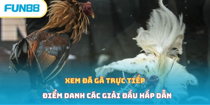 xem-da-ga-truc-tiep-cac-giai-dau