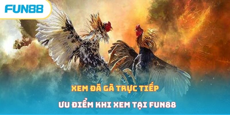 xem-da-ga-truc-tiep-uu-diem
