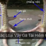 nhan-biet-than-ke