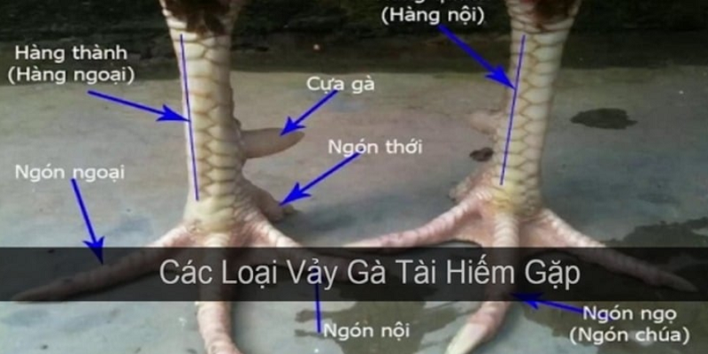 nhan-biet-than-ke